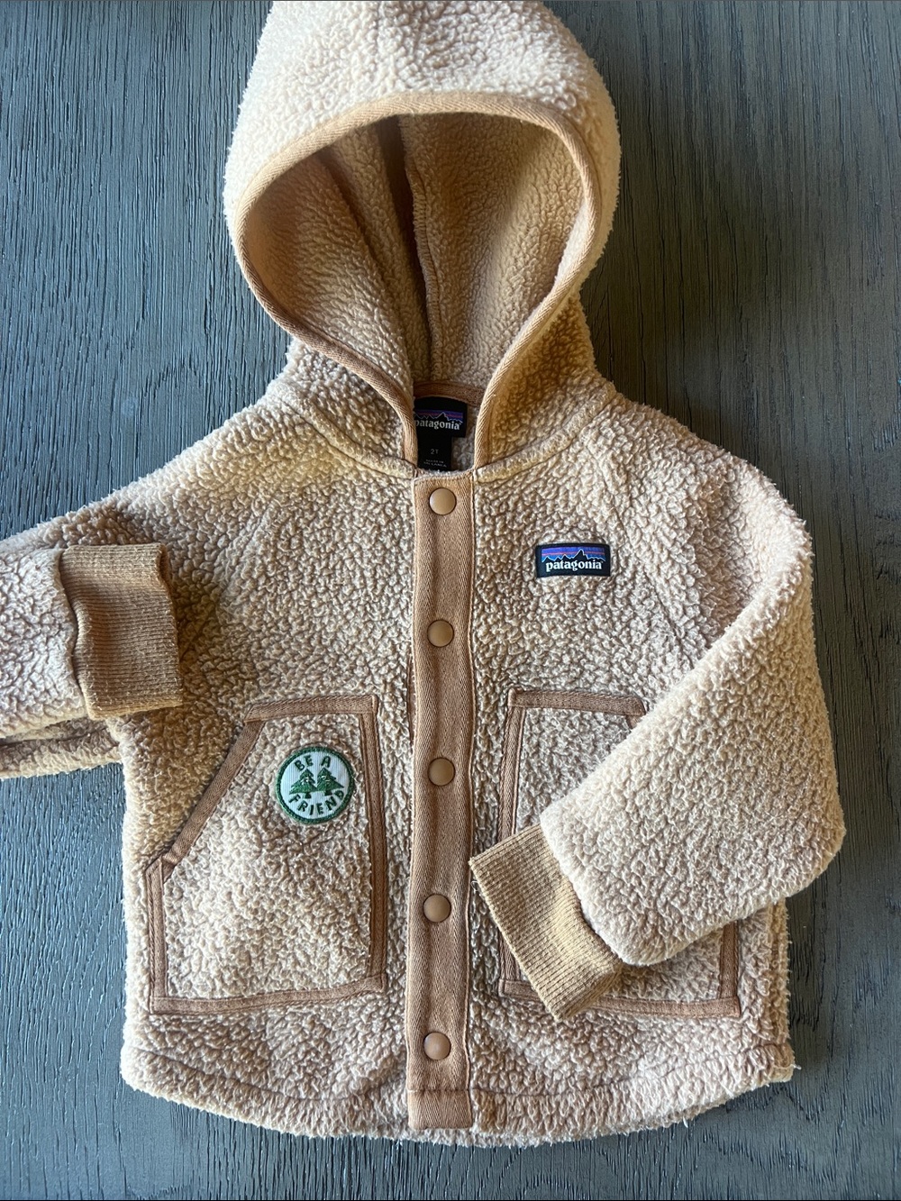 Patagonia Kids Sherpa Hoodie in Light Tan